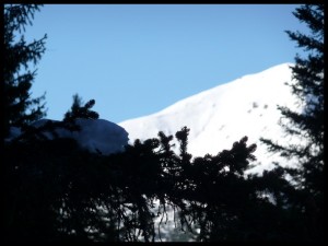 P1020357